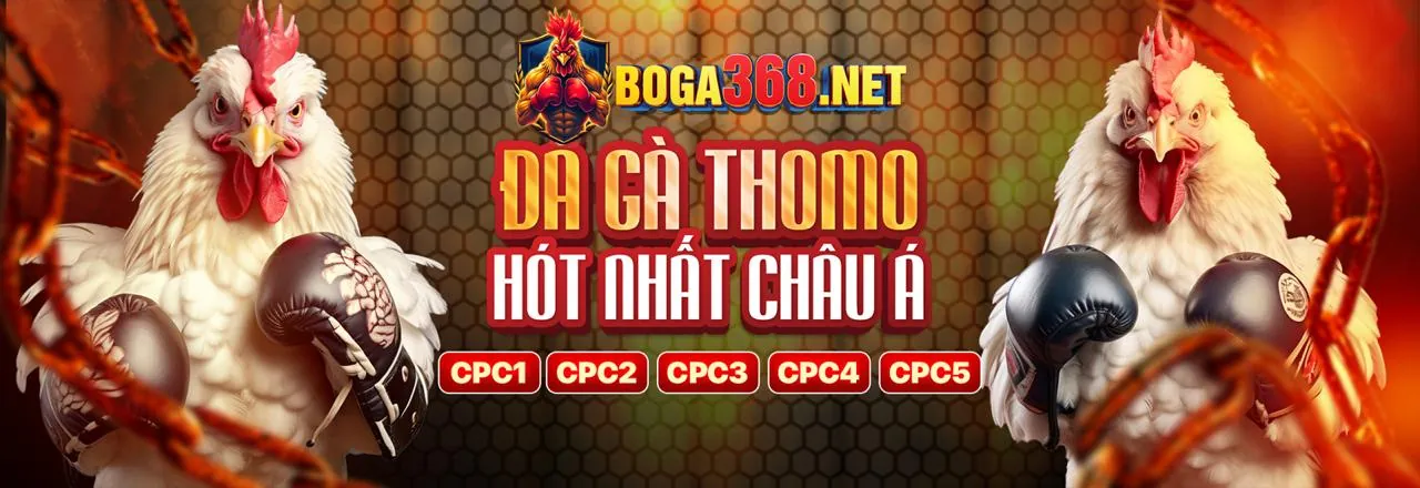 Hình ảnh đại diện cho Điều khoản Dịch vụ của W33WIN